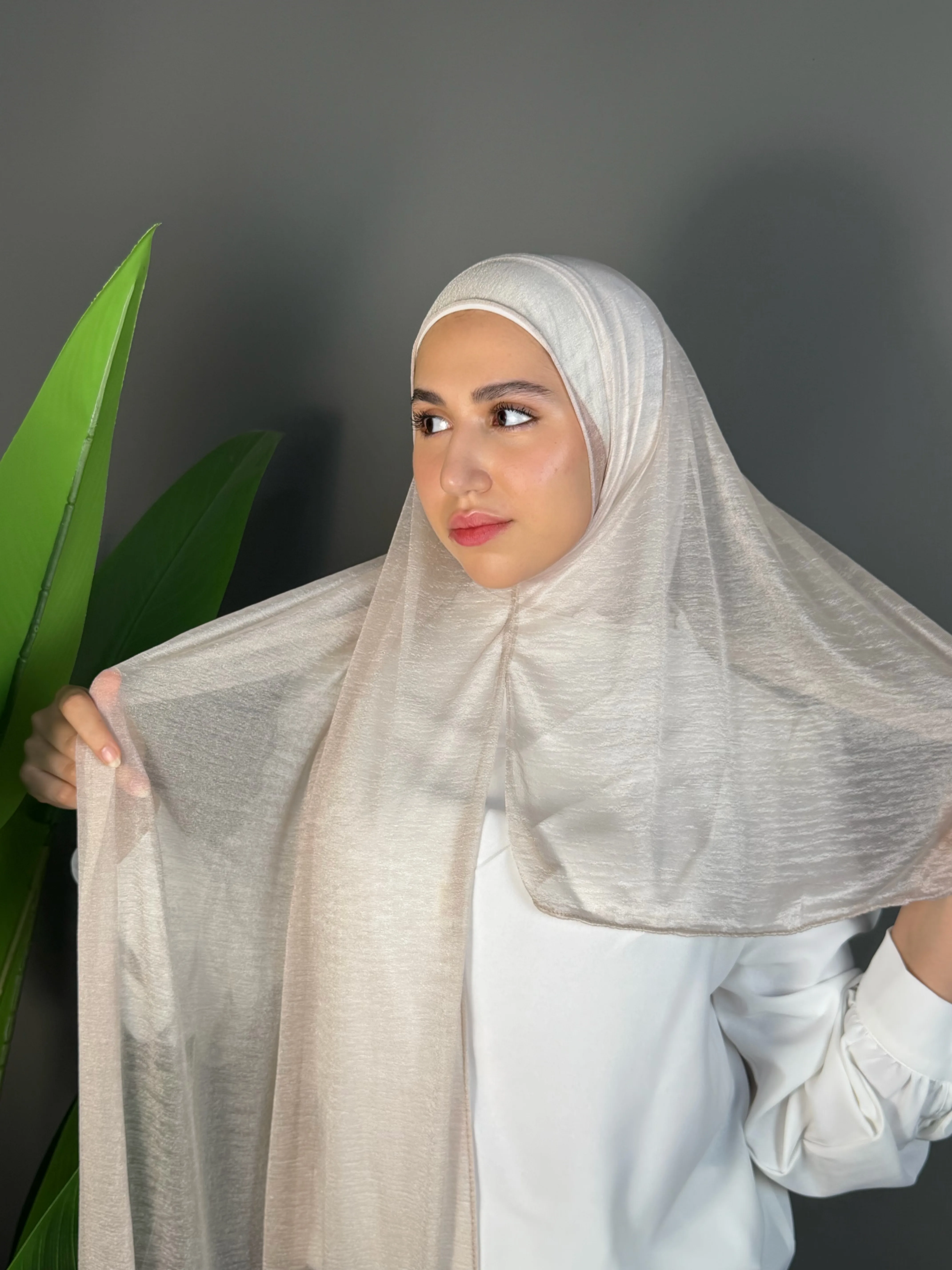 Kashmir chiffon